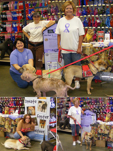 Shar-Pei Rescue Events