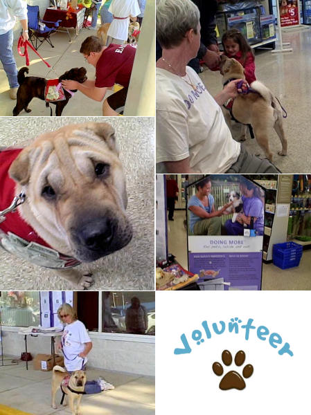 Shar-Pei Rescue Events