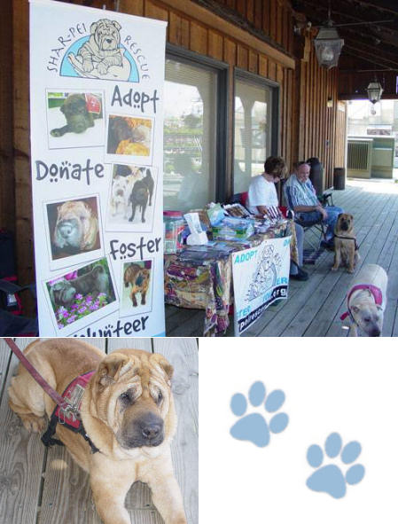 Shar-Pei Rescue Events