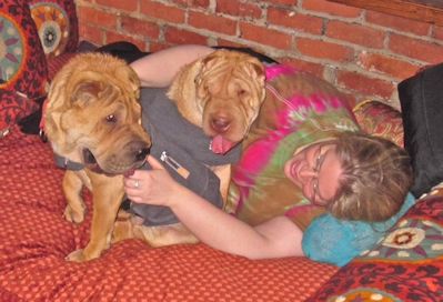 Chinese Shar Pei Pictures - Gumbo and Bam (Angus)