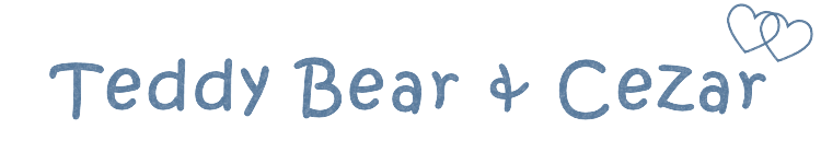 Fundraising for Teddy Bear and Cezar