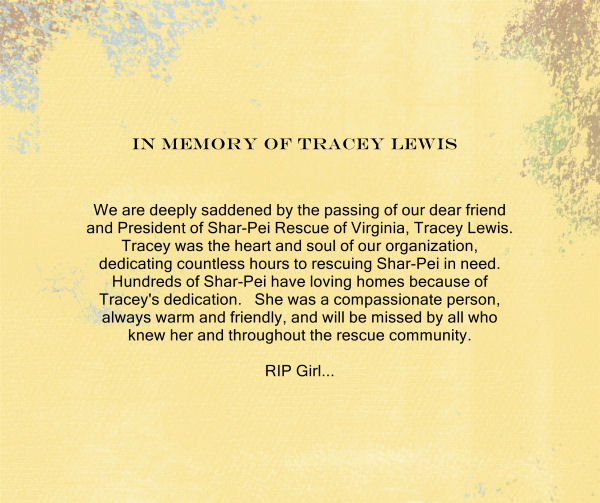 In Memory of Tracey