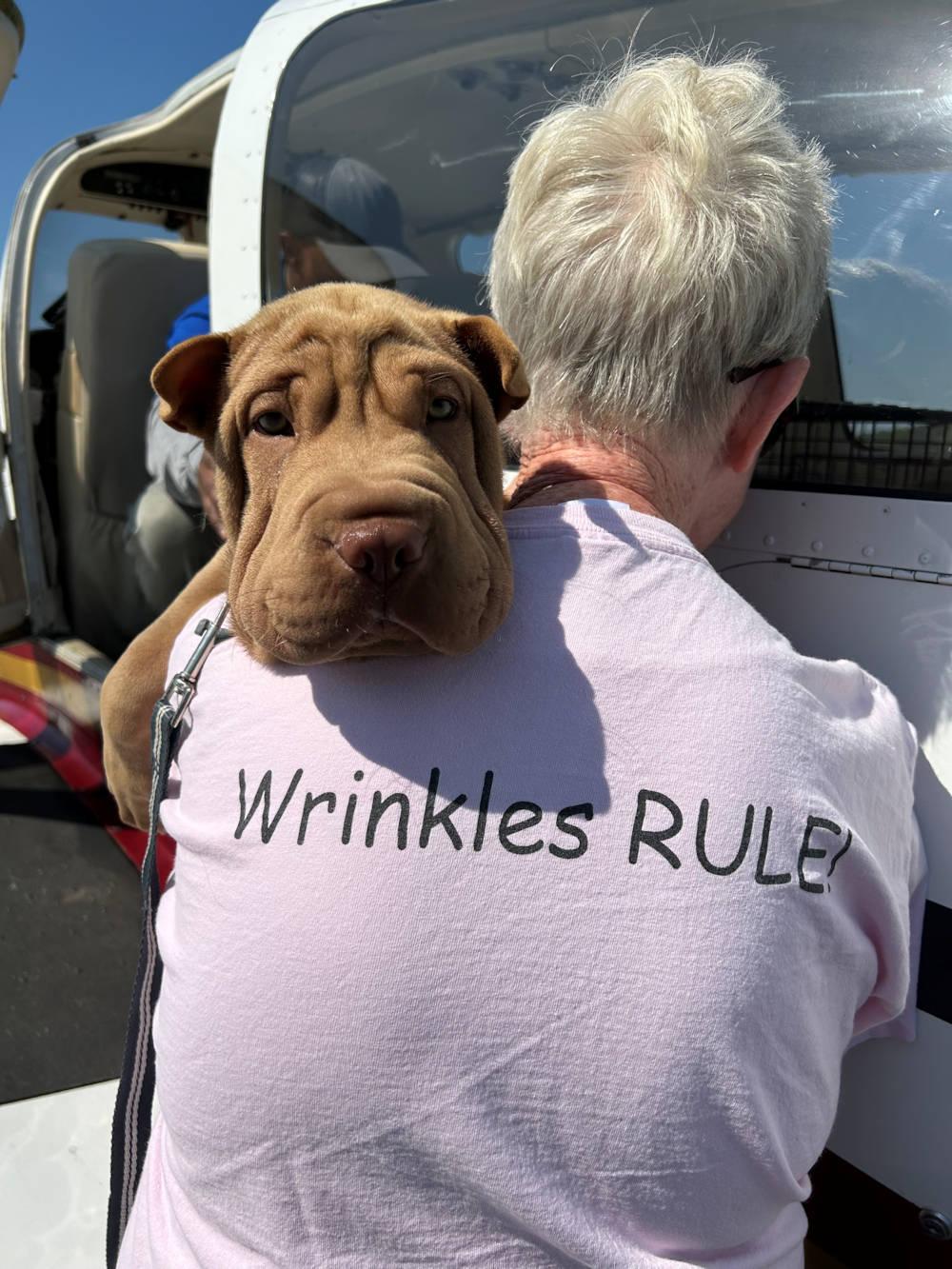 Shar-Pei Rescue T-Shirt - Wrinkles Rule