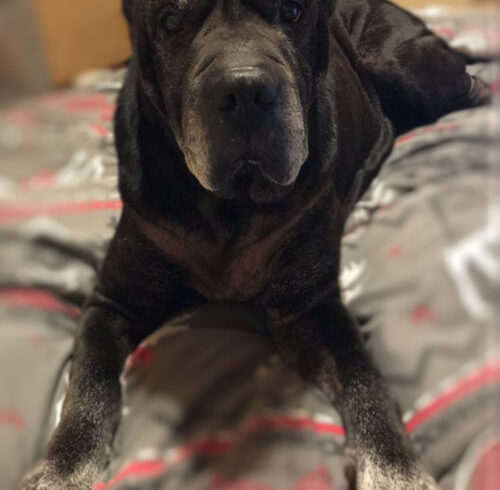 Max