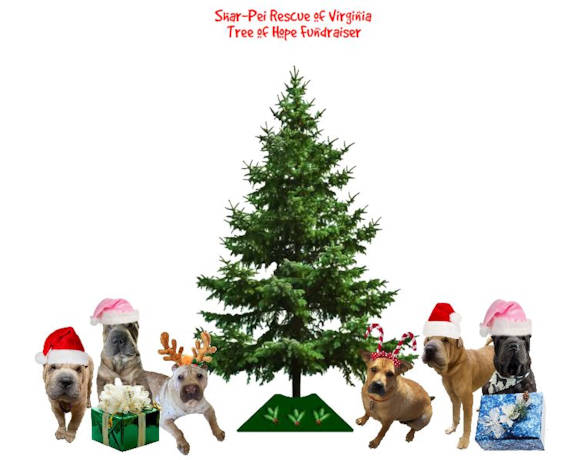 Shar-Pei Rescue of Virginia 2024 Tree of Hope Fundraiser