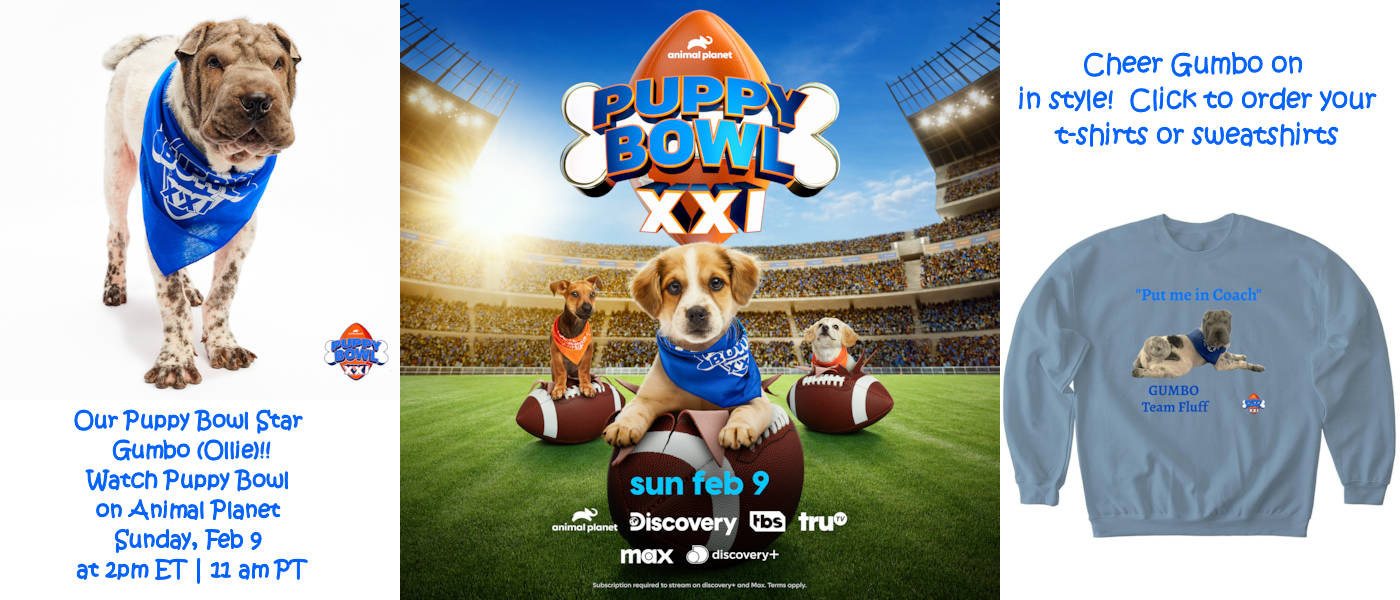 Puppy Bowl XXI Shar-Pei Rescue