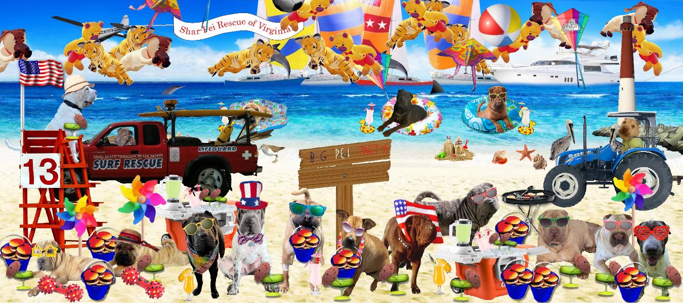 Beach Party Fundraiser - Shar-Pei Rescue of Virginia