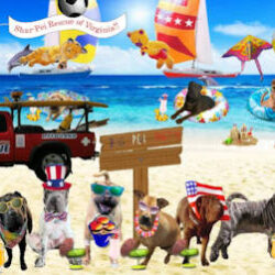 THANK YOU to all who donated to our 2025 Beach Party Fundraiser