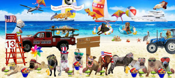 THANK YOU to all who donated to our 2025 Beach Party Fundraiser