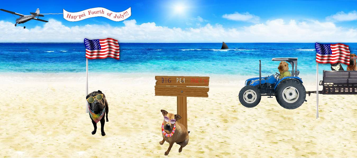 Shar-Pei Rescue Beach Party