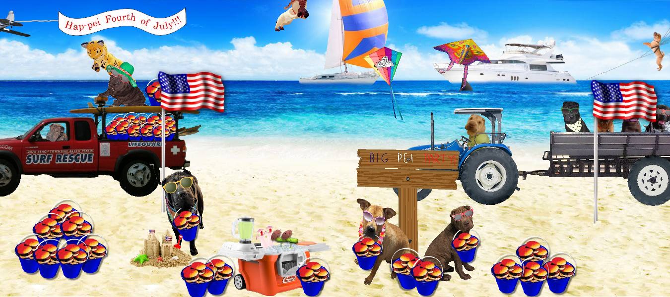 Beach Party Fundraiser