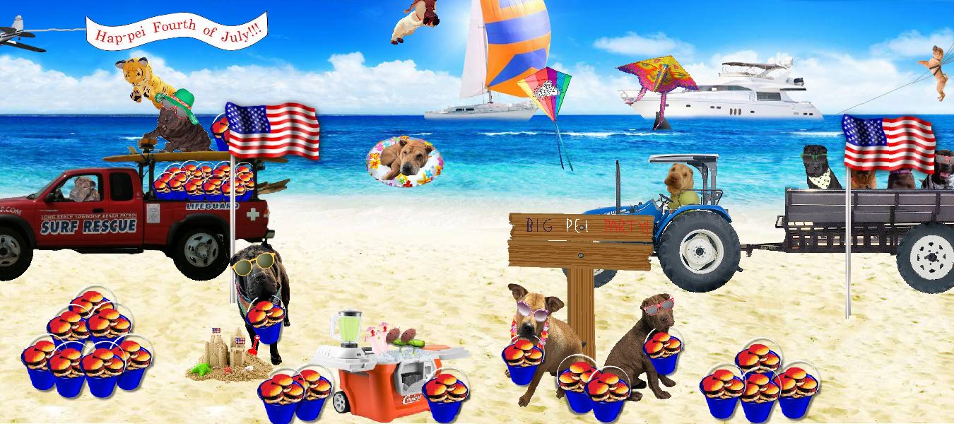 Shar-Pei Rescue Beach Party Fundraiser
