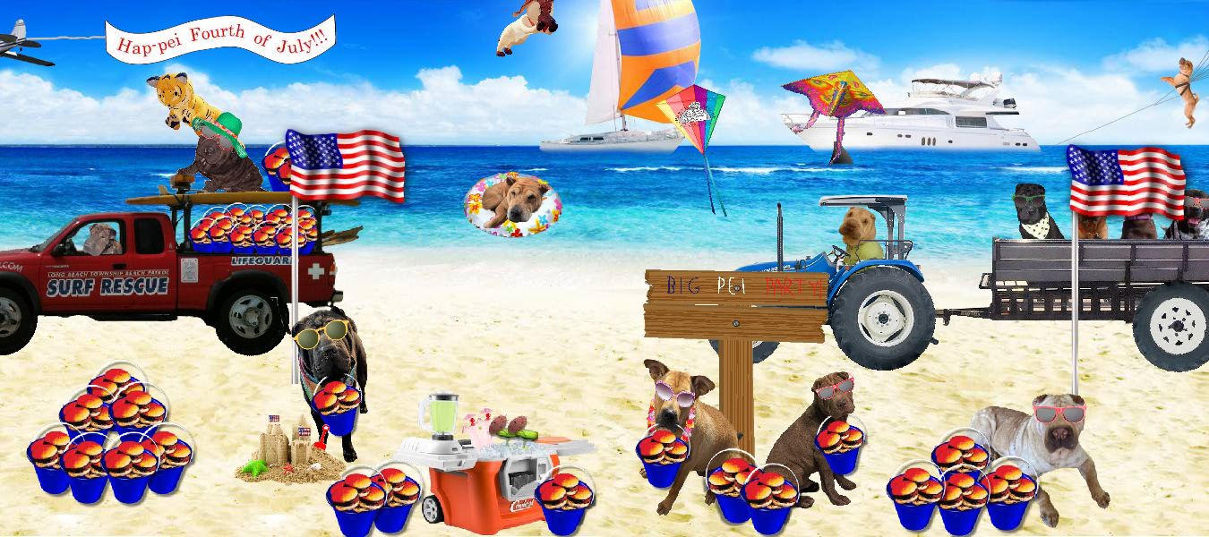 Beach Party Fundraiser
