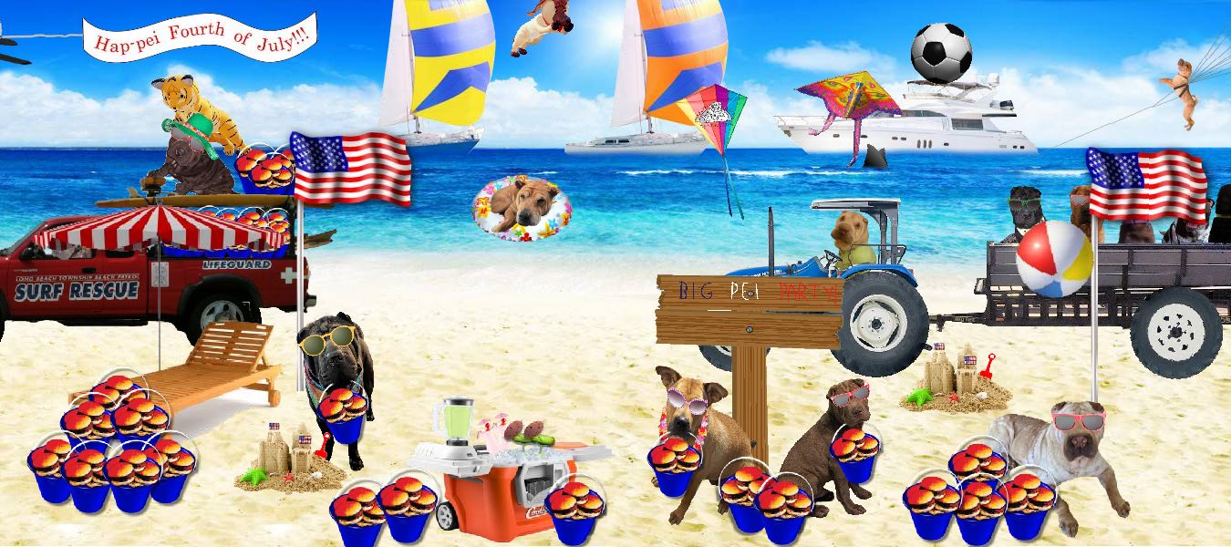 Beach Party Fundraiser