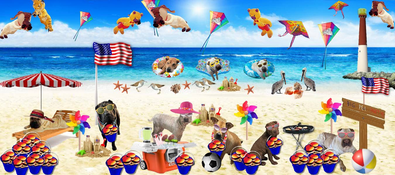 Shar-Pei Rescue of Virginia Beach Party Fundraiser