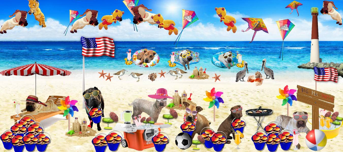Shar-Pei Rescue Beach Party Fundraiser