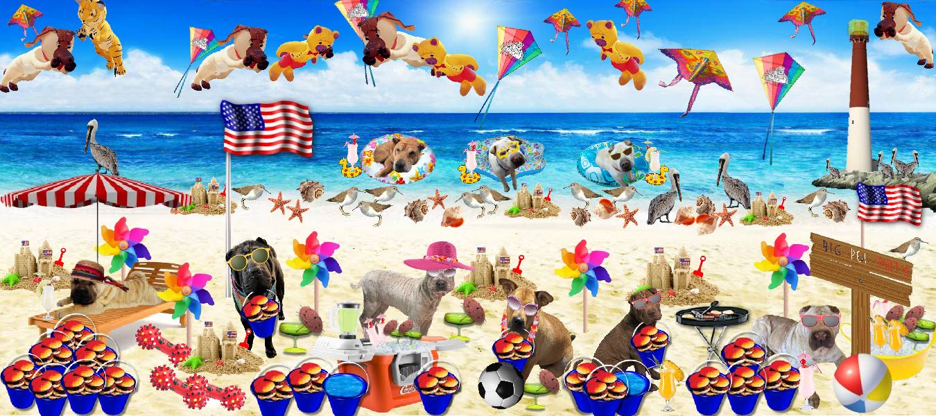 Shar-Pei Rescue Beach Party