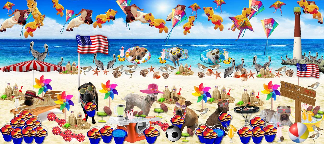 Beach Party Fundraiser