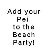 Beach Party Fundraiser