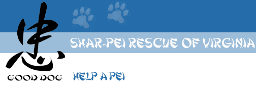 Shar-Pei Rescue